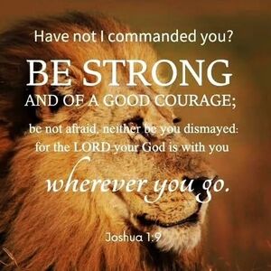 Meet your Posher, Connie